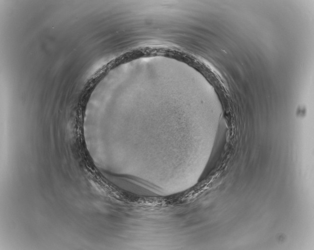X0000093730775200711131037