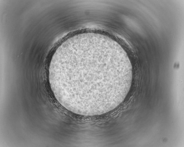 X0000093730776200711131037