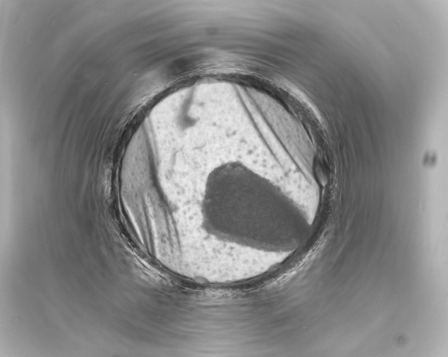 X0000093730777200711131037