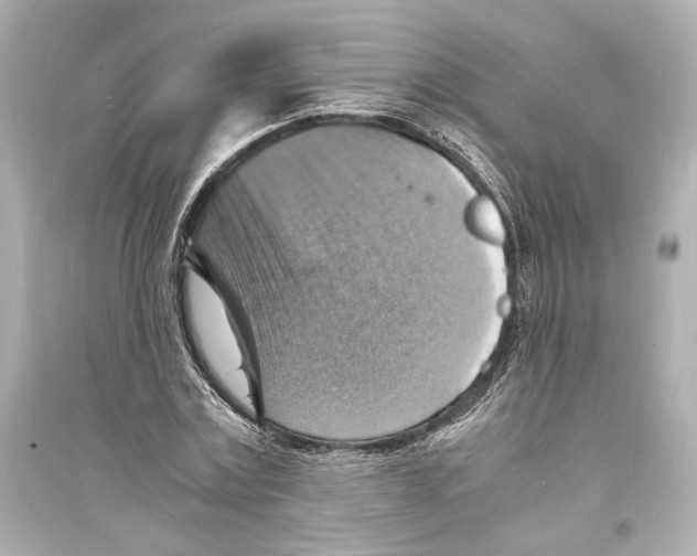 X0000093730779200711131037