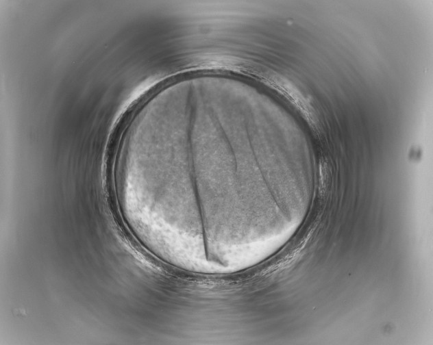 X0000093730780200711131037