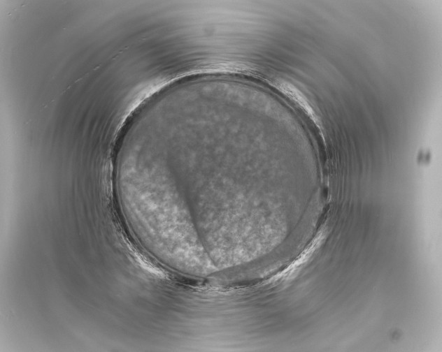 X0000093730781200711131037
