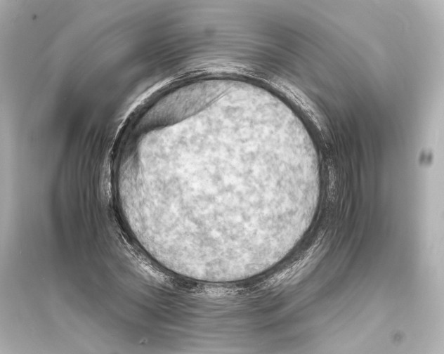 X0000093730782200711131037