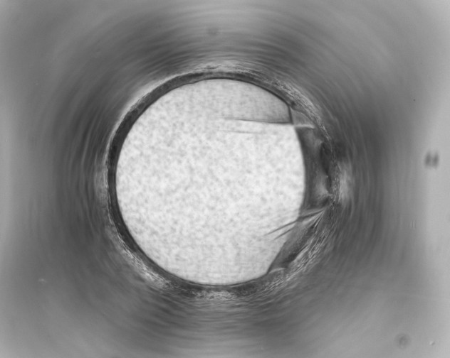 X0000093730784200711131037