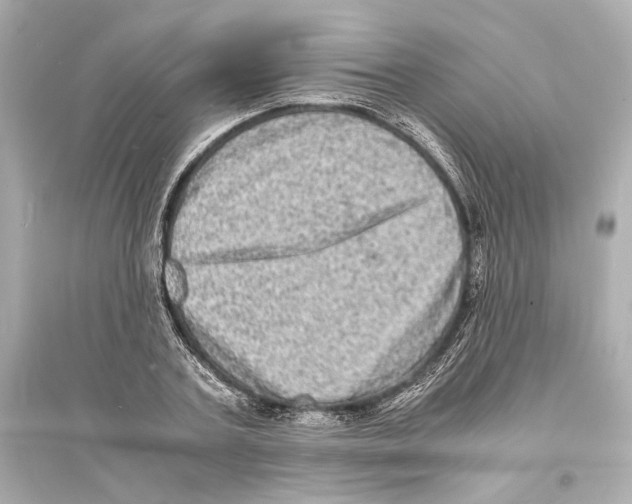 X0000093730787200711131037