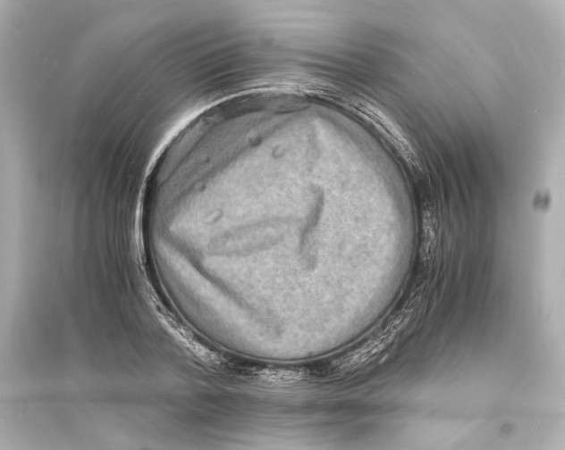 X0000093730788200711131036