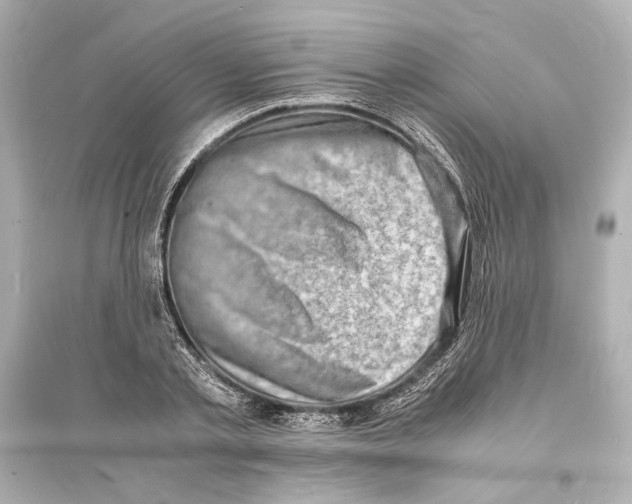 X0000093730789200711131036