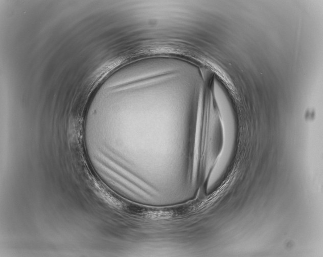 X0000093730793200711131036