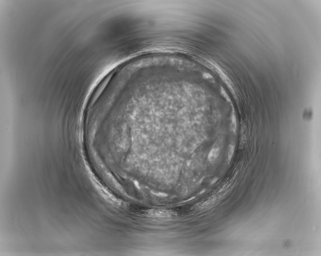 X0000093730795200711131036