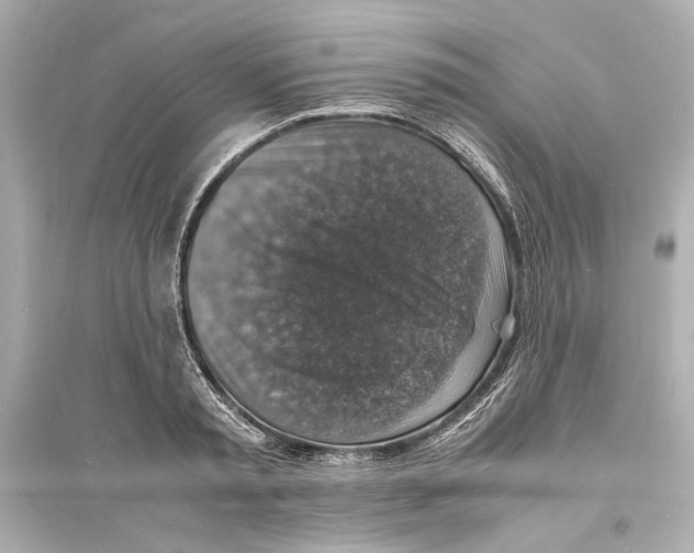 X0000093730797200711131036
