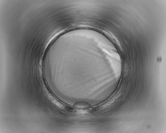 X0000093730798200711131036