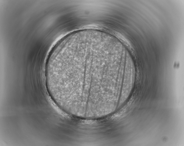 X0000093730800200711131036