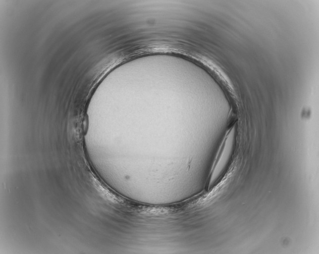X0000093730801200711131036