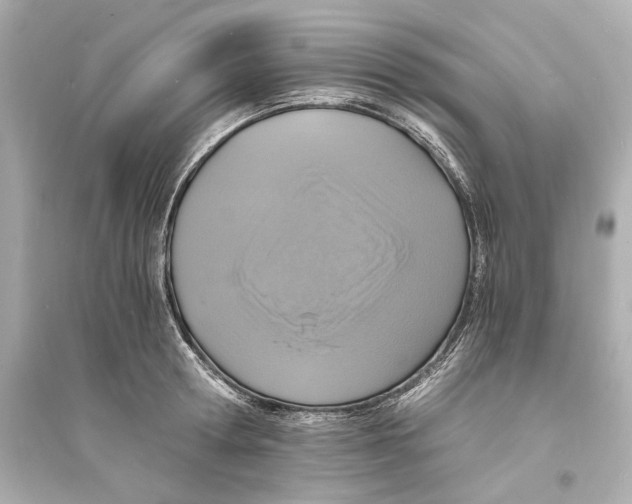 X0000093730802200711131036