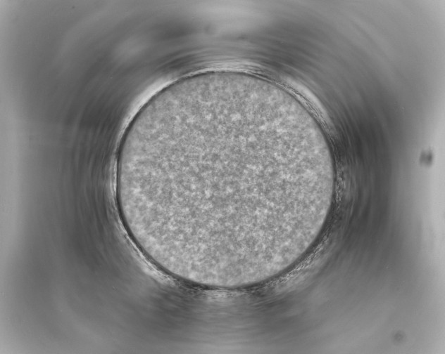 X0000093730804200711131036