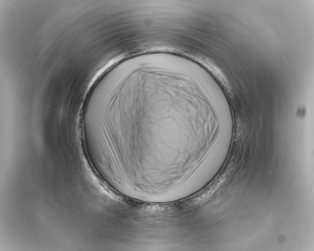 X0000093730806200711131036