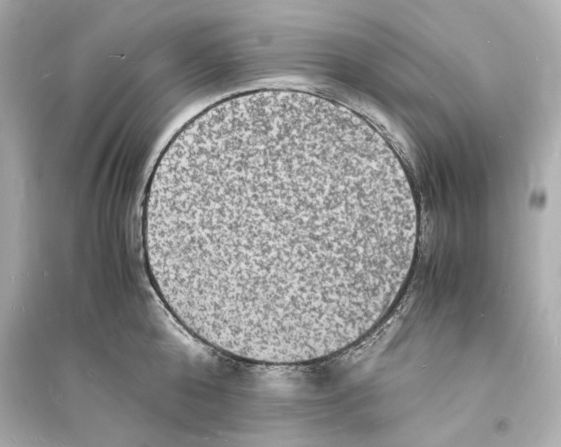 X0000093730808200711131036