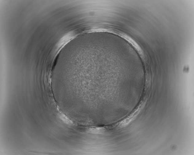 X0000093730809200711131036