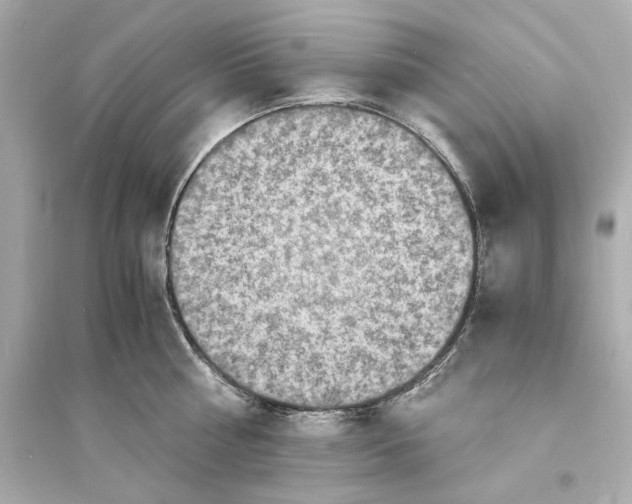 X0000093730810200711131036