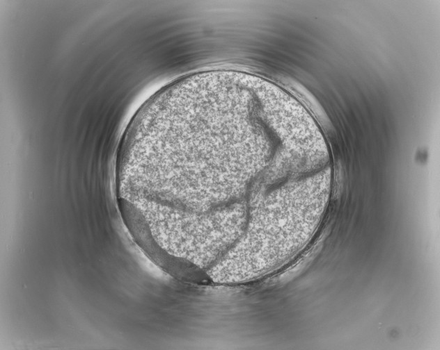 X0000093730812200711131036