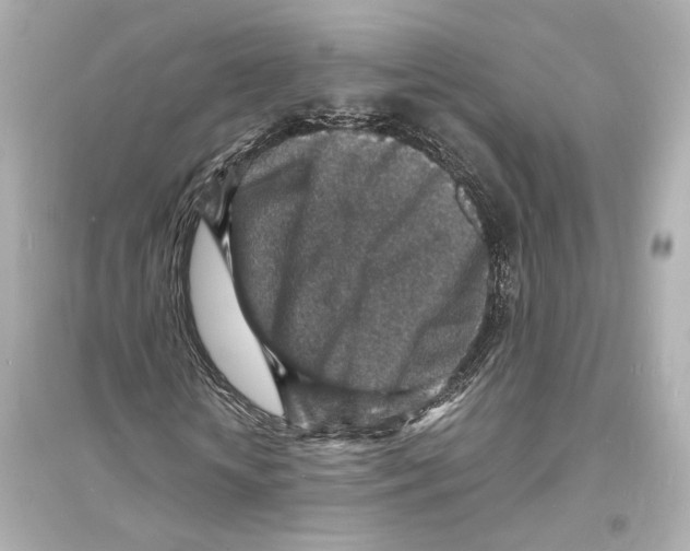 X0000093730818200711131035