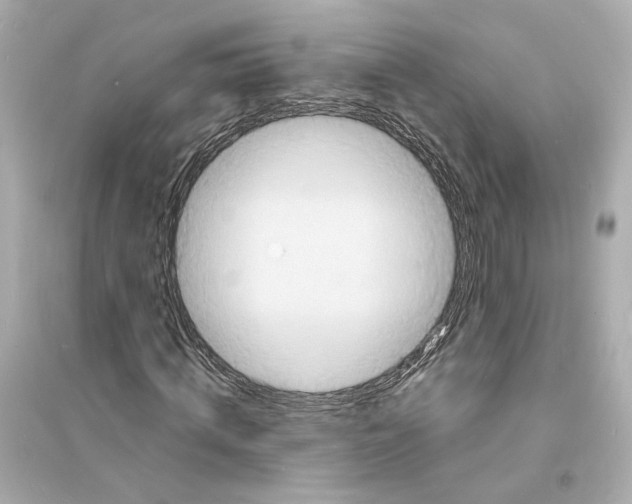 X0000093730820200711131035