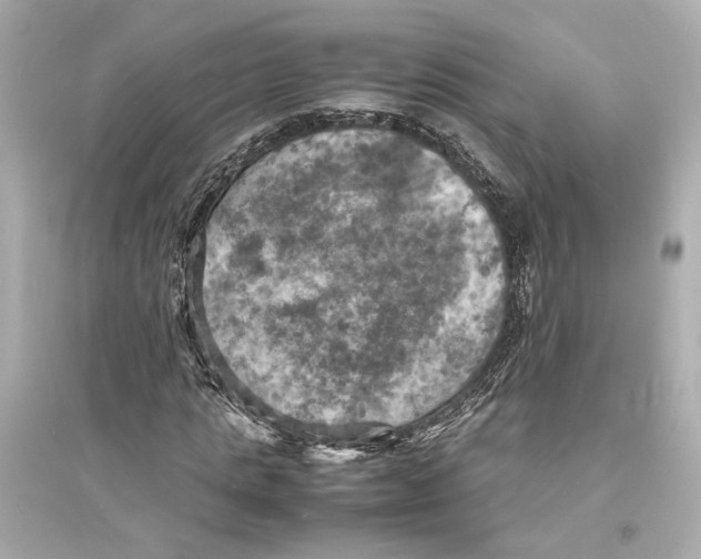 X0000093730821200711131035
