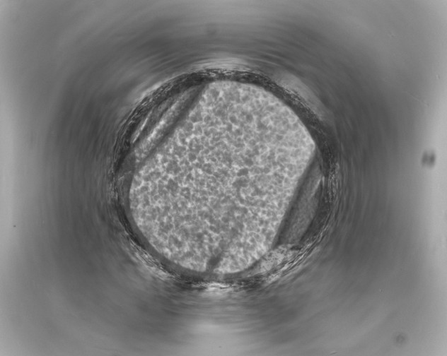 X0000093730822200711131035