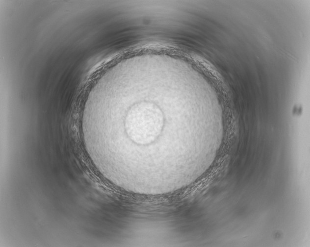 X0000093730824200711131036