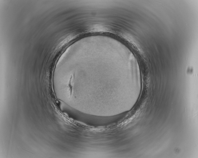 X0000093730825200711131036