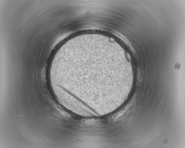 X0000093730826200711131036