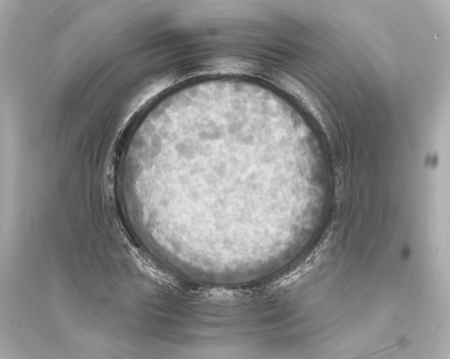 X0000093730827200711131036