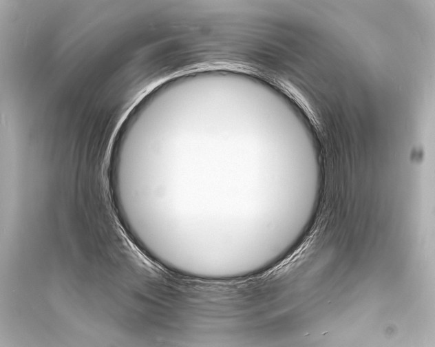 X0000093730828200711131036