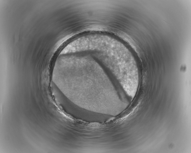 X0000093730829200711131036