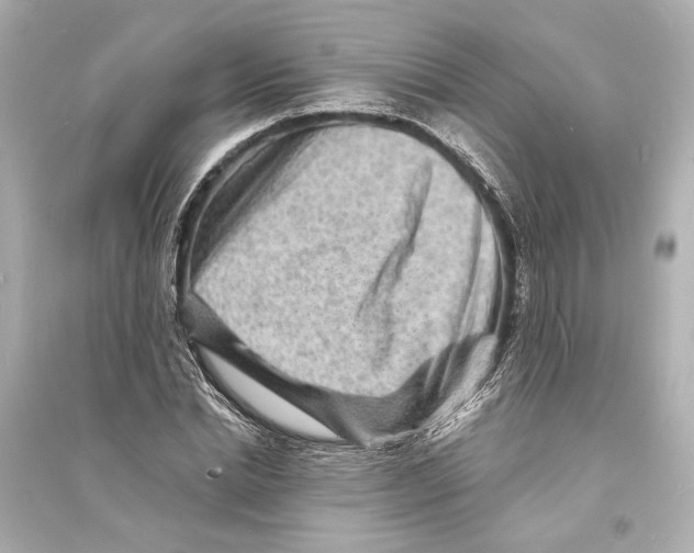X0000093730830200711131036