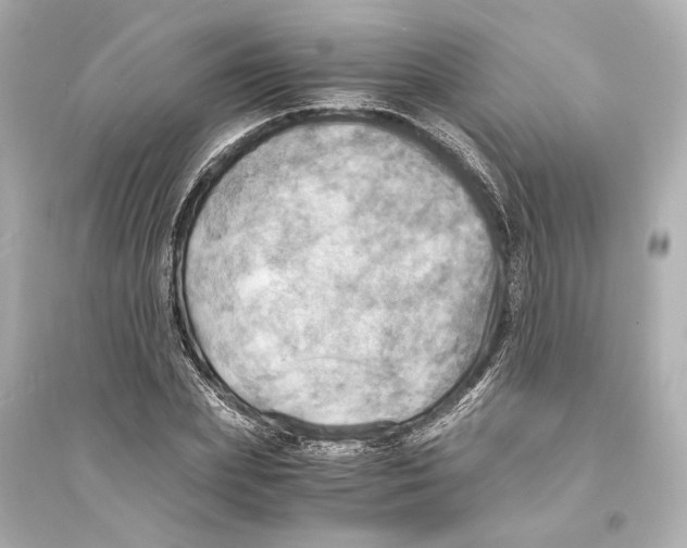 X0000093730831200711131036