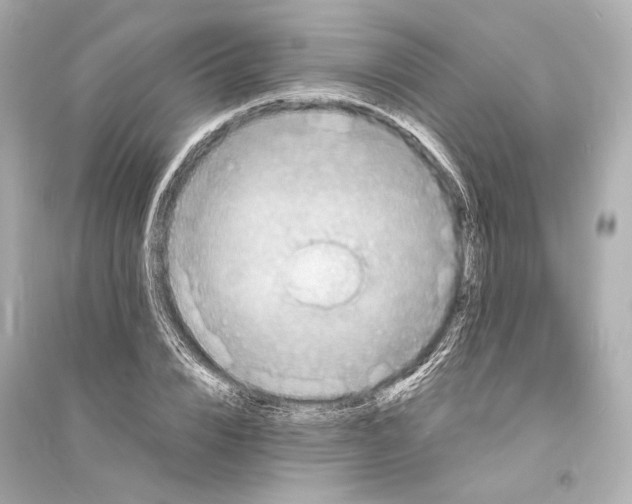 X0000093730832200711131036