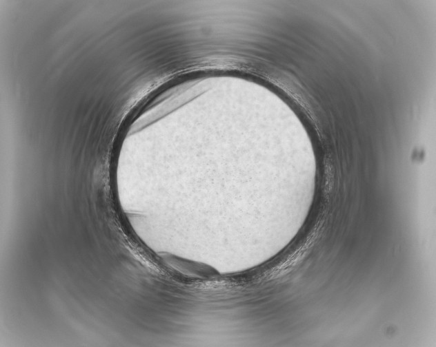 X0000093730834200711131036