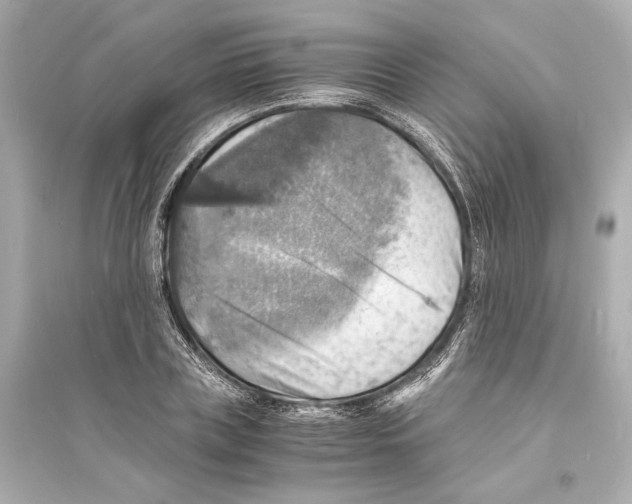 X0000093730835200711131036