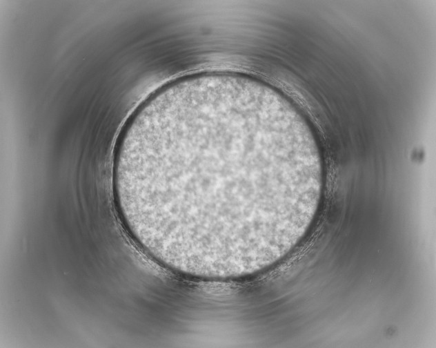 X0000093730836200711131036