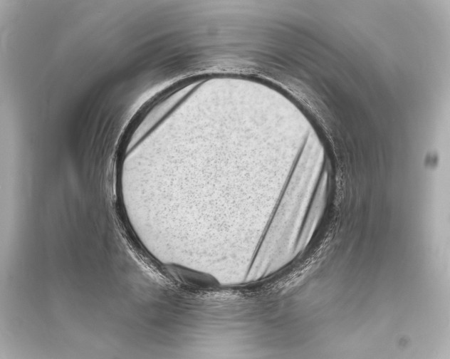 X0000093730838200711131036