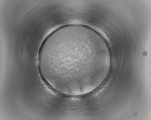X0000093730839200711131036