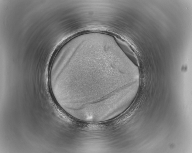 X0000093730840200711131036