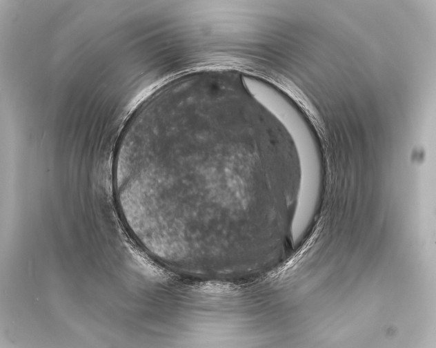 X0000093730842200711131036
