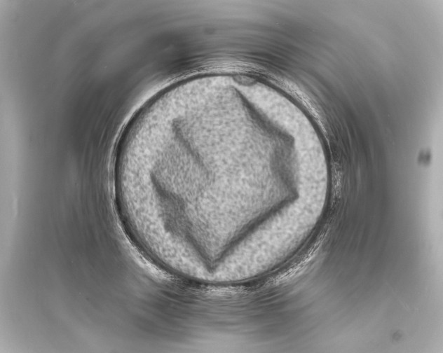 X0000093730843200711131036