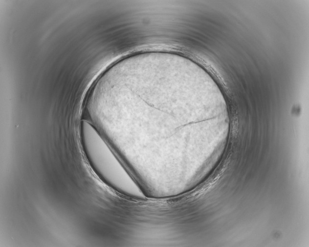 X0000093730844200711131036