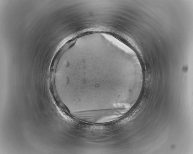 X0000093730845200711131036