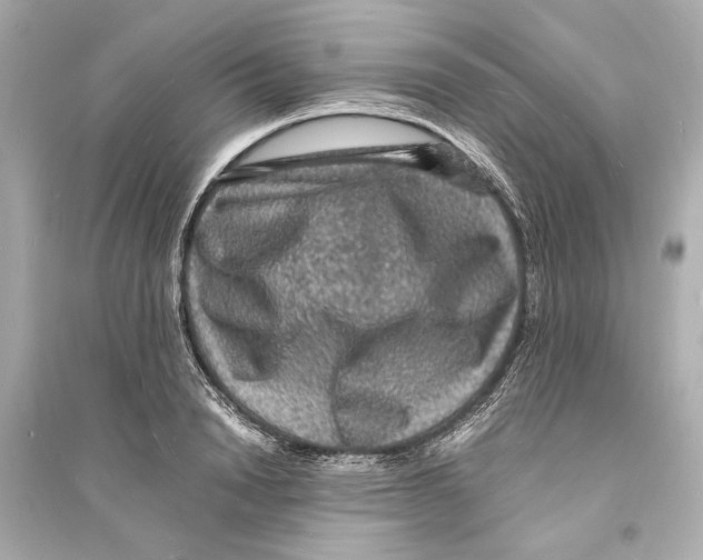 X0000093730846200711131036