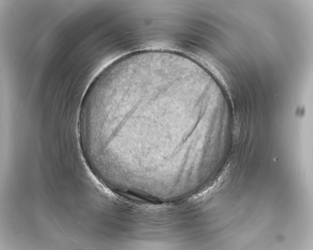 X0000093730847200711131036