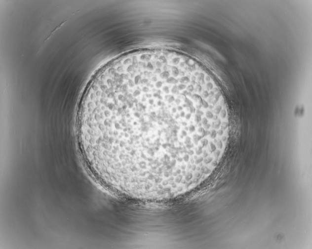 X0000093730848200711131036